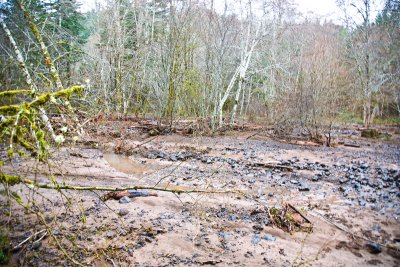 Dec 5 07 Oregon flood area-3.jpg