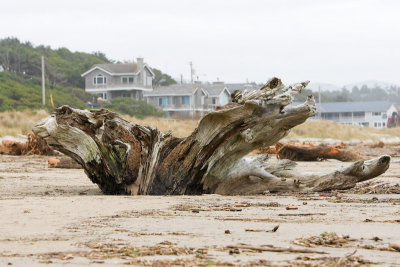 Dec 14 07 Oregon Coast Flood Zone 1D-182.jpg