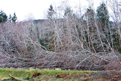 Dec 14 07 Oregon Coast Flood Zone 1D-294.jpg