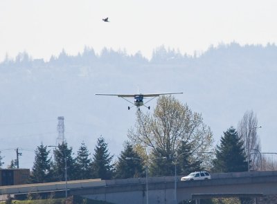 Apr 12 08 Vancouver Airfield-86.jpg