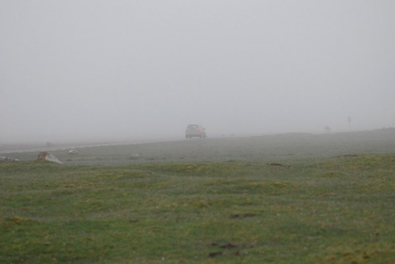 Oland may10  1070.jpg