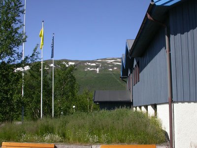n05 0379.jpg