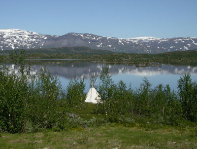 n05 0500.jpg