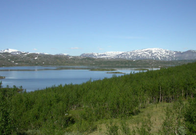 n05 0508.jpg
