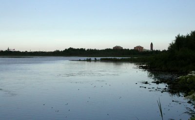 n05 0684.jpg