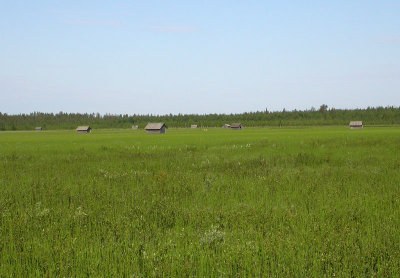 n05 0716.jpg