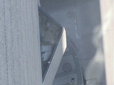090410-1251-1.jpg
