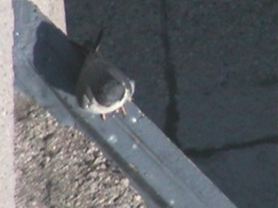 090414-1023-1.jpg