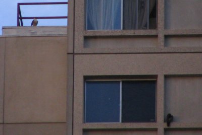 g3/11/791911/3/112749724.nO8dbxKw.jpg