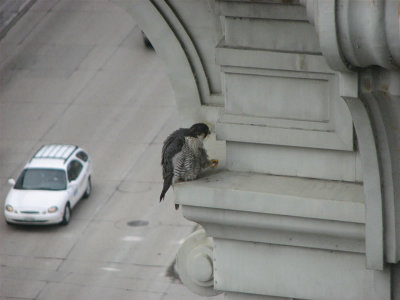 Princess on Portage