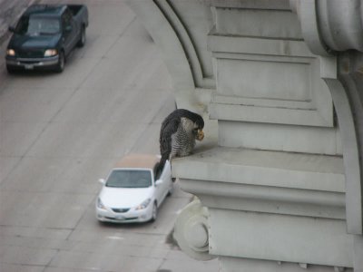 Princess on Portage