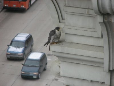 Princess on Portage