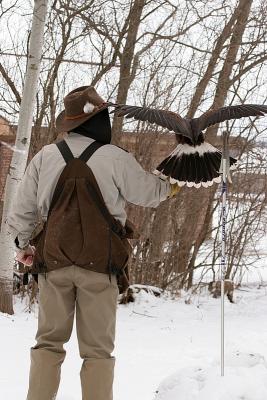 Hunting with a Hawk