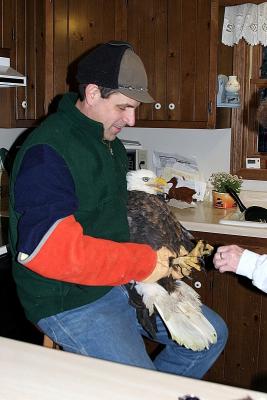 Don Baumgartner, a volunteer for the Feather, helps in the final stages before release.
