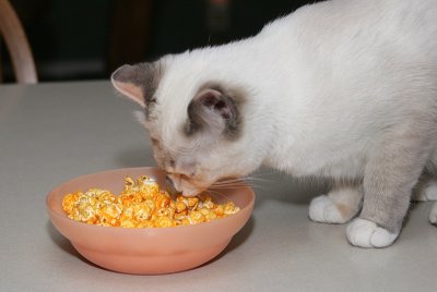 You know what they say about curiosity & the cat
