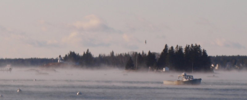 Sea Smoke #170101