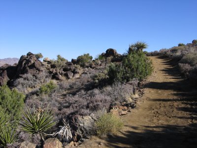 Lost Horse Mine Trail #5539