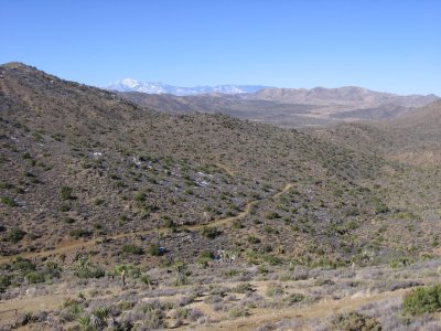 Lost Horse Mine Trail #5556