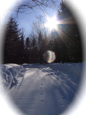 g3/11/813611/3/109505789.FblKxvf4.jpg