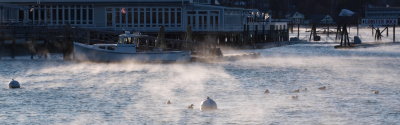 Sea Smoke #170080