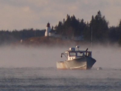 Sea Smoke #170091
