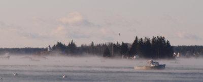 Sea Smoke #170101