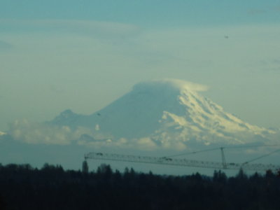 Photos in Feb 2010