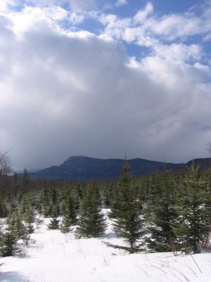 g3/11/813611/3/88724756.F4PNQApn.jpg