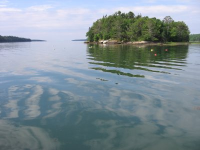 Rolling Ripples on Muscongous Bay