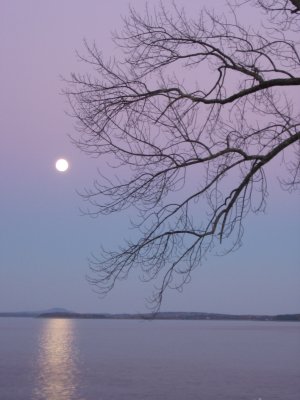 October moonrise in Bayside