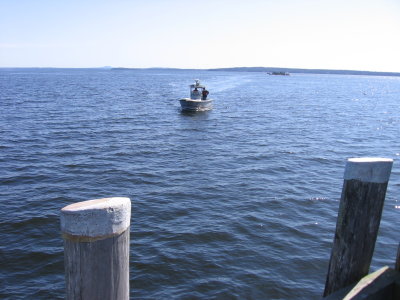 April 7, 2008 In from the search