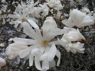 April 27, 2008