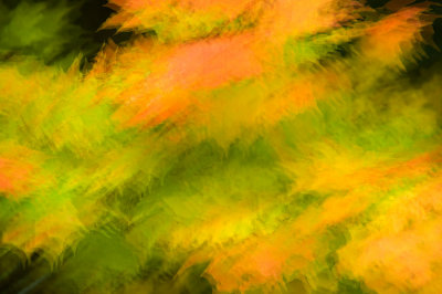 Fall abstract