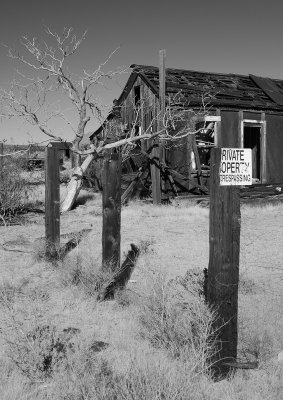 DS2_2669_01.jpg