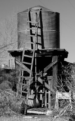 DS2_2716_05.jpg