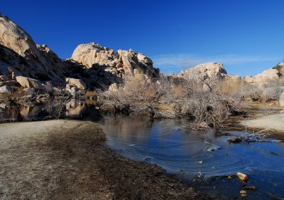 DS2_4120_003.jpg