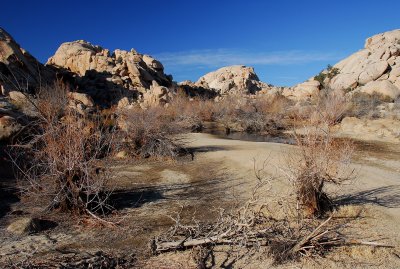 DS2_4131_010.jpg