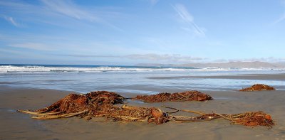 DS2_1743_05.jpg