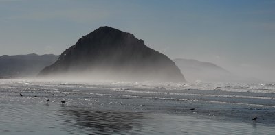 DS2_1761_08.jpg