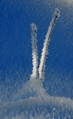 Ice  Snow_10.jpg