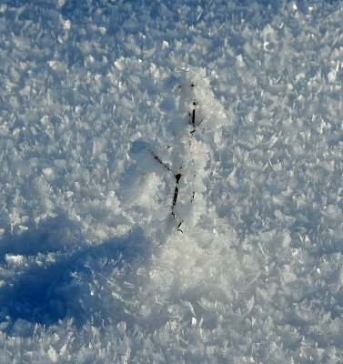 Ice  Snow_11.jpg