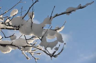 Ice  Snow_13.jpg