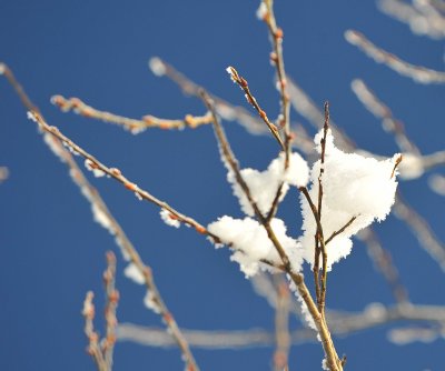 Ice  Snow_14.jpg