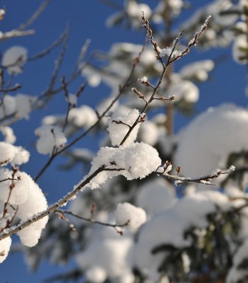 Ice  Snow_15.jpg