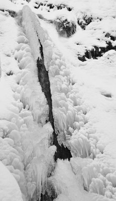 Ice  Snow_49.jpg