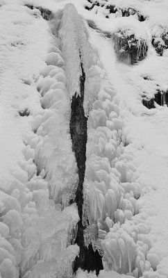 Ice  Snow_53.jpg
