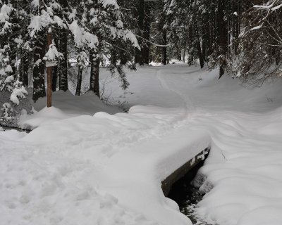 Winter Scenes_13.jpg