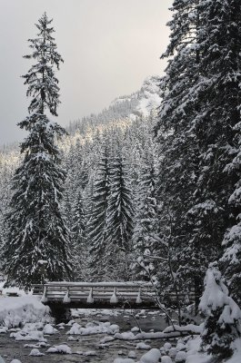 Winter Scenes_14.jpg