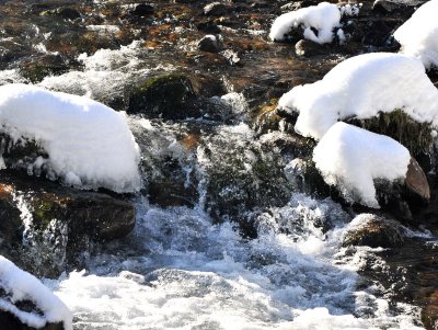 Winter Scenes_16.jpg