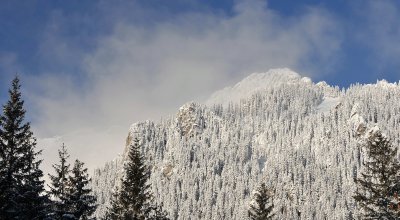 Winter Scenes_23.jpg